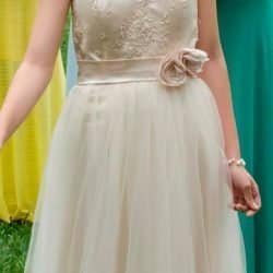 56485586_959154410949633_7707017095514423296_n