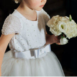 Screen Shot 2022-11-20 at 12.26.32