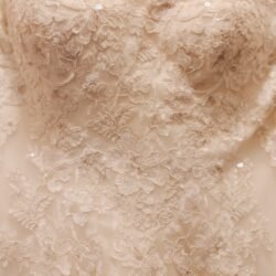 8E2E948E-97DA-4CD2-A250-37D9BCACF868